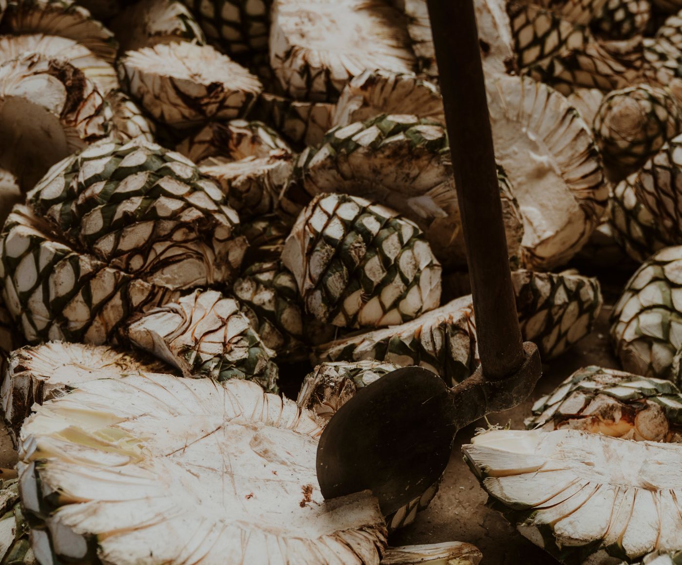 Jima — Cosecha a mano, piña por piña